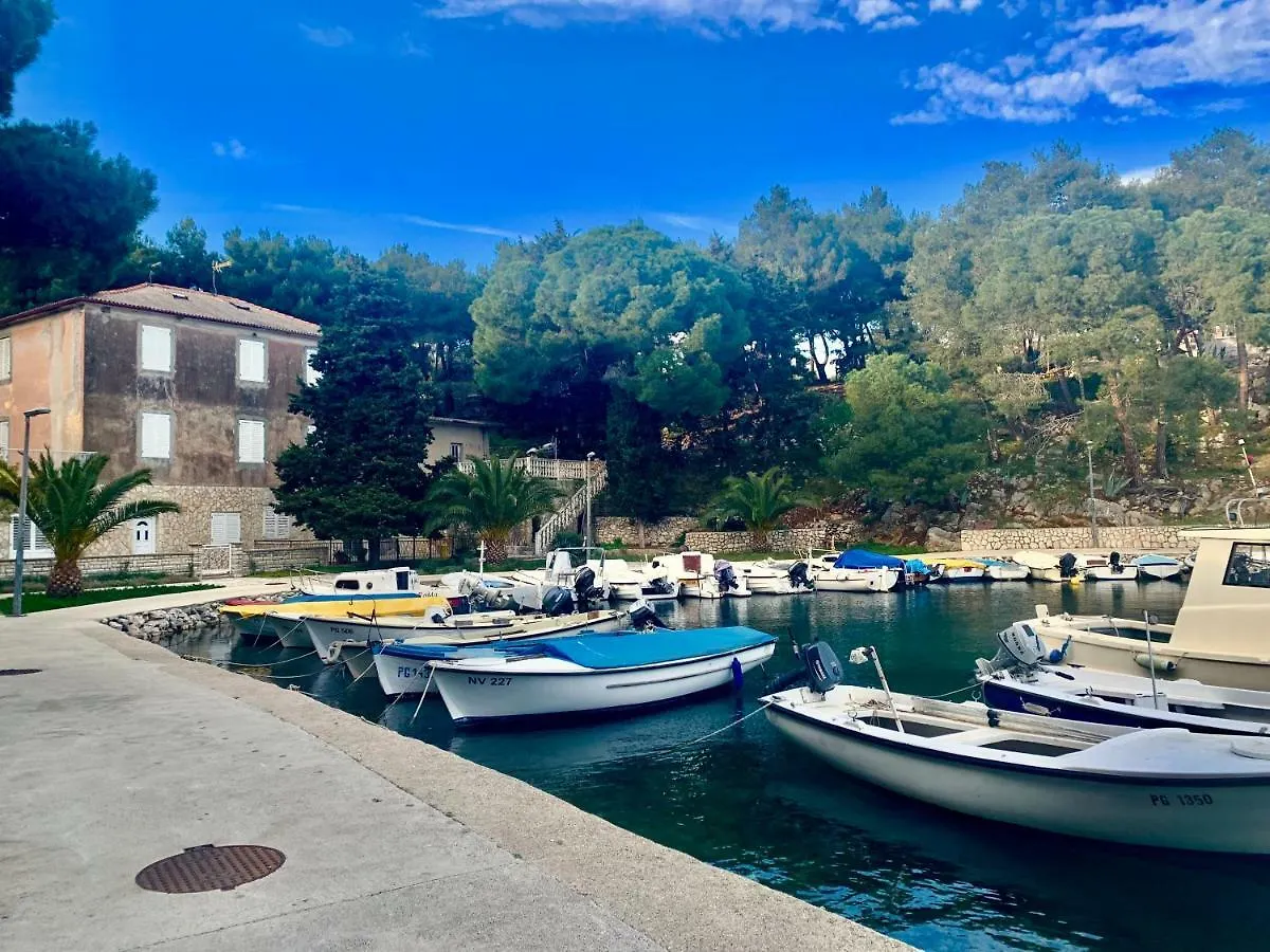 Deluxe Villa No.10 - Rooms & Apartments Mandre Πανσιόν